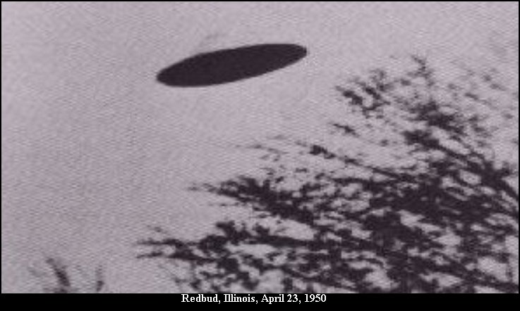Witness photo 1