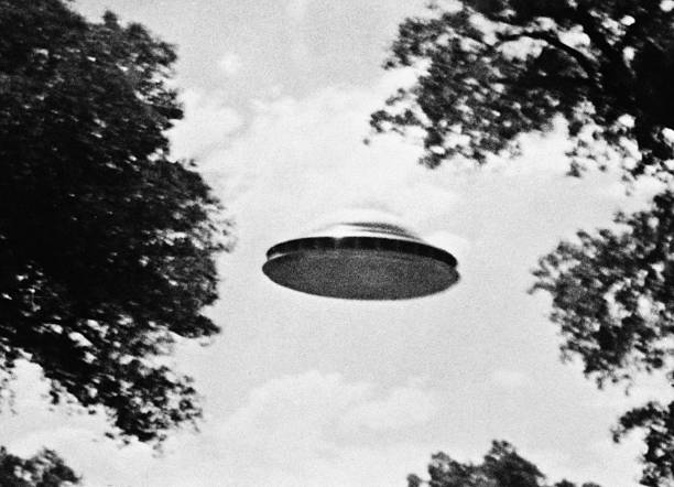 Witness photo 4