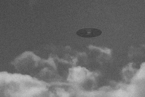 Witness photo 2