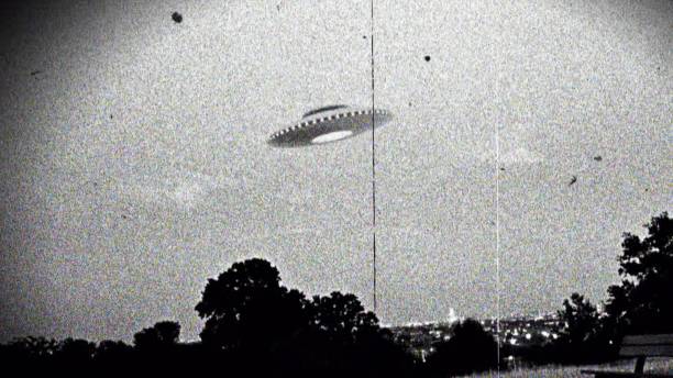 Witness photo 3